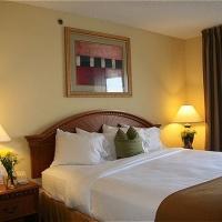 Express & Tampa-anderson Road-veterans Exp By Ihg 2* West Chase