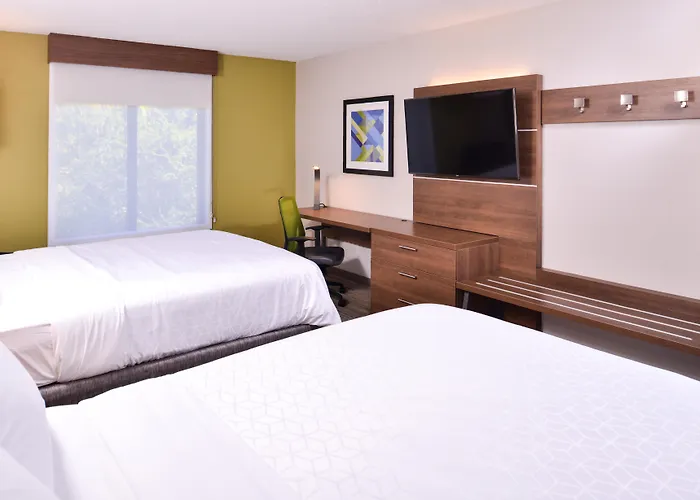 Holiday Inn Express Hotel & Suites Tampa-Anderson Road-Veterans Exp By Ihg